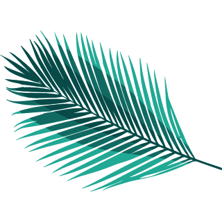 Palmera-derecha