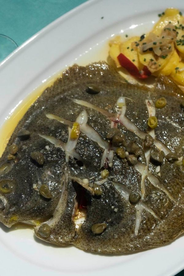 Categoria-Pescados