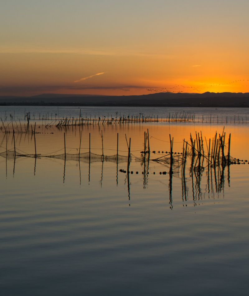 albufera valencia
