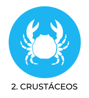 Crustaceos