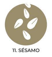 Sesamo